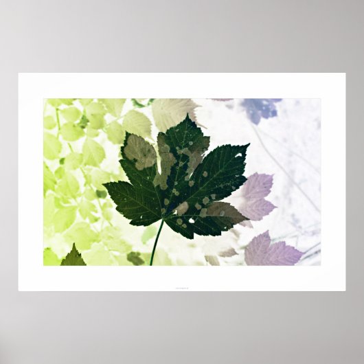 Blatt ポスター (正面)