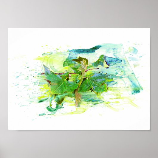 Blätter - Watercolor / Aquarell, Illustration ポスター (正面)