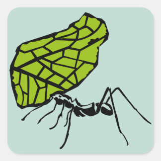 Blattschneideameise Natur Stencil スクエアシール