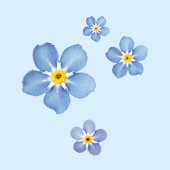 Blaue Vergissmeinnicht Blüten - Aquarell-Design  壁紙