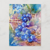 Blaue Weintrauben gemalt ポストカード (正面)