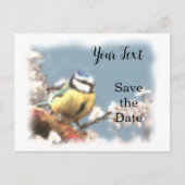 Blaumeise - Aquarell-Design | Postkarte ポストカード (正面)