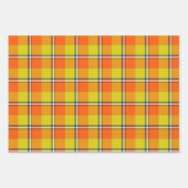 Blaze Orange and Bird Flower Plaid ラッピングペーパーシート (正面2)