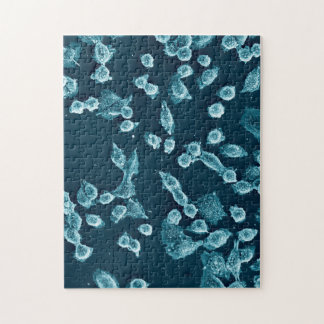 Blebby mitotic細胞のパズル ジグソーパズル