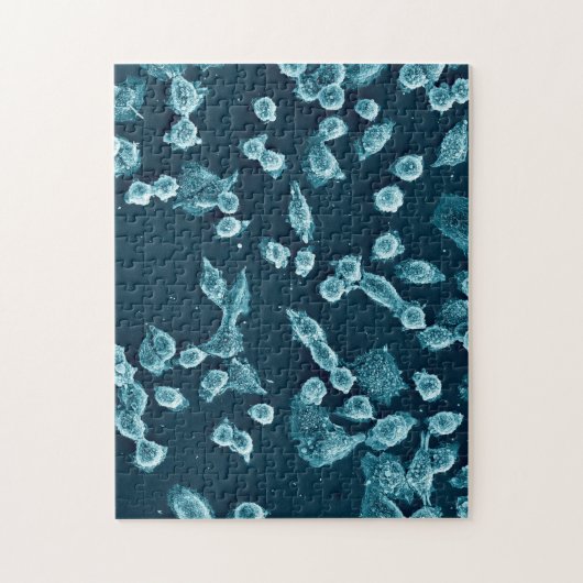 Blebby mitotic細胞のパズル ジグソーパズル (縦)