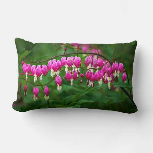 Bleeding Heart flower ランバークッション (正面)