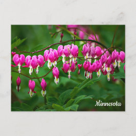 Bleeding Hearts Postcard ポストカード