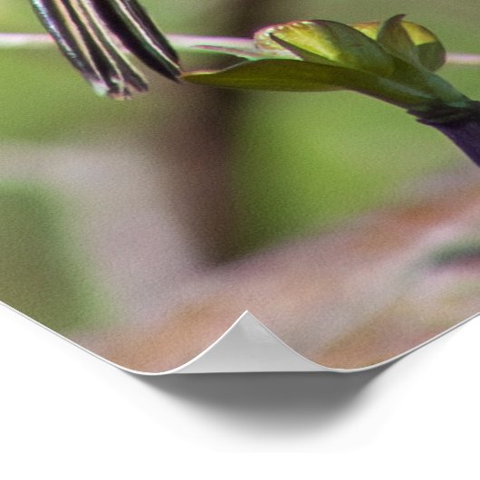 Blending In ポスター (角)