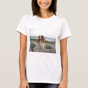Blenheim無頓着なMackinawの橋ミシガン州 Tシャツ