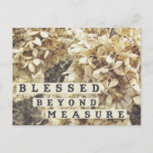 Blessed Beyond Measure ポストカード (正面)