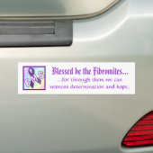 blessed Fibromitesです バンパーステッカー (車上)