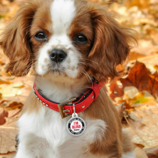 Blind Pet Medical Alert Custom Name Black Red ペット　ネームタグ