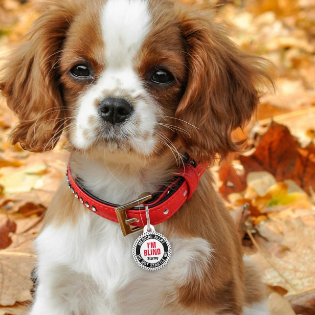 Blind Pet Medical Alert Custom Name Black Red ペット　ネームタグ (クリエイターアップロード済み)