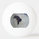 blinkyピンポン球 卓球ボール (正面)