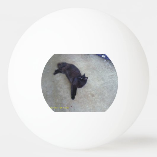 blinkyピンポン球 卓球ボール (裏面)