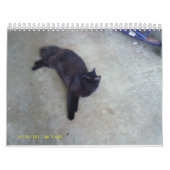 blinky calander カレンダー (カバー)