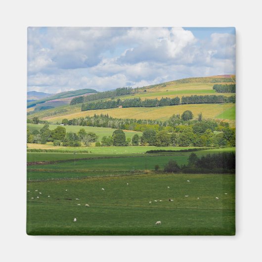 Blirgowrie, Sの近くのスコットランドの風景のパノラマ マグネット (正面)