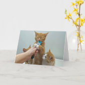 "Bliss" – ホイーと彼のお気に入りの治療 カード (黄色い花)