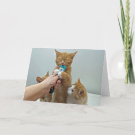 "Bliss" – ホイーと彼のお気に入りの治療 カード