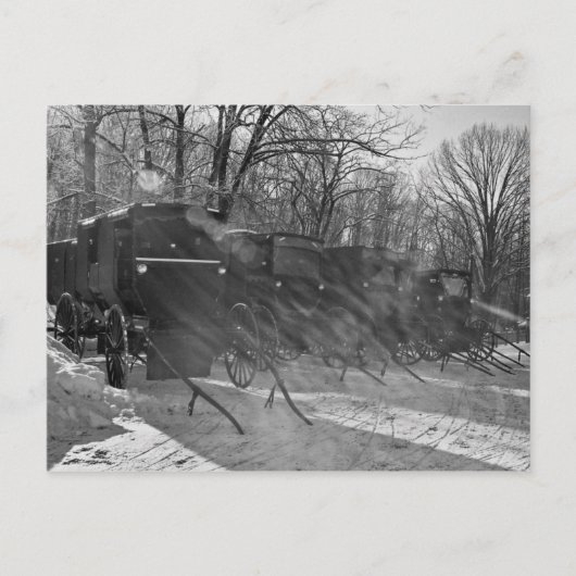 Blkおよび白 – 太陽の光線を通る乳母車 ポストカード (正面)