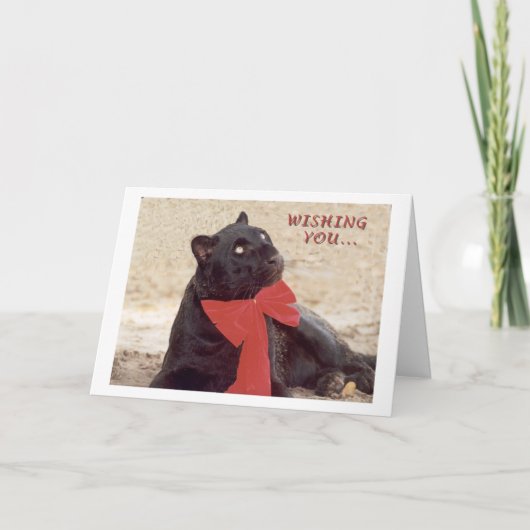 Blkのヒョウの休日の弓 シーズンカード (正面)