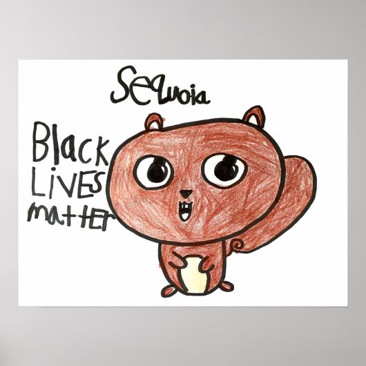 BLMデザイン – カミラアクワビ – アメヨー ポスター (正面)