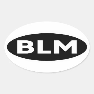 BLM – 黒人生活問題アンチ人種差別バンパー 楕円形シール