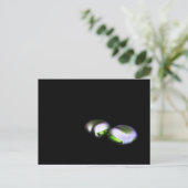 Bload Beans Pca 2つ ポストカード (スタンド正面)