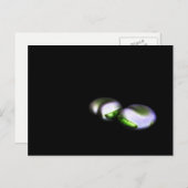 Bload Beans Pca 2つ ポストカード (正面/裏面)