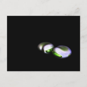 Bload Beans Pca 2つ ポストカード