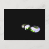 Bload Beans Pca 2つ ポストカード (正面)