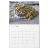 Blobbi Pacman Frog Calendar カレンダー (3月 2027)