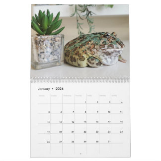 Blobbi Pacman Frog Calendar カレンダー