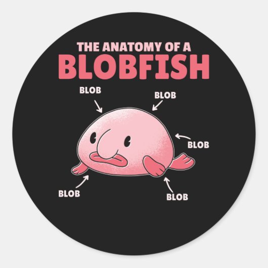 Blobfishの説明文の解剖学 ラウンドシール (正面)
