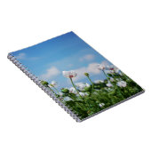 Bloeiend Papaver somneferum maanzaad bloemen. ノートブック (右側)