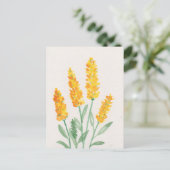 Bloemen Briefkaart ポストカード (スタンド正面)