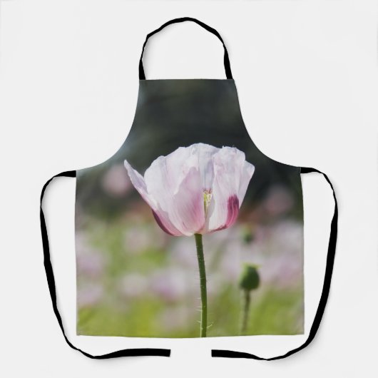 Bloemen veld met close up bloeiende lila bloem. エプロン (正面)