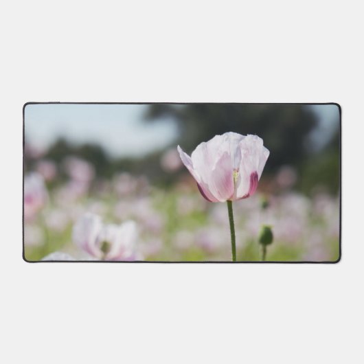 Bloemen veld met close up bloeiende lila bloem. デスクマット (正面)
