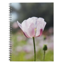 Bloemen veld met close up bloeiende lila bloem. ノートブック