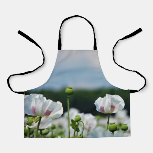 Bloemen veld, Papaver somneferum maanzaad bloem. エプロン (正面)