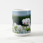 Bloemen veld, Papaver somneferum maanzaad bloem. コーヒーマグカップ (中央)