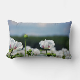 Bloemen veld, Papaver somneferum maanzaad bloem. ランバークッション