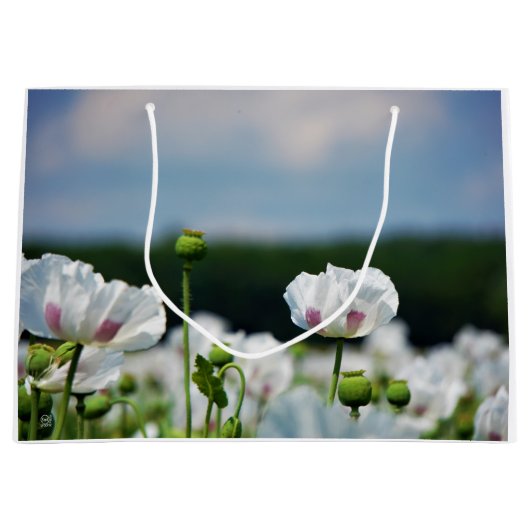 Bloemen veld, Papaver somneferum maanzaad bloem. ラージペーパーバッグ (正面)