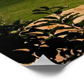 Blomidin, Nova Scotia, Canada ポスター (角)