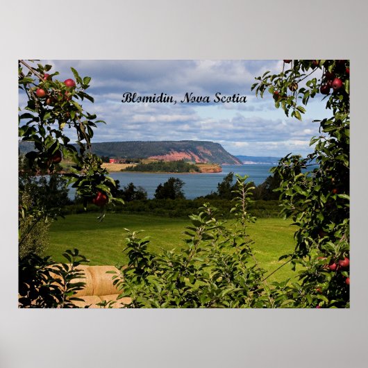 Blomidin, Nova Scotia, Canada ポスター (正面)
