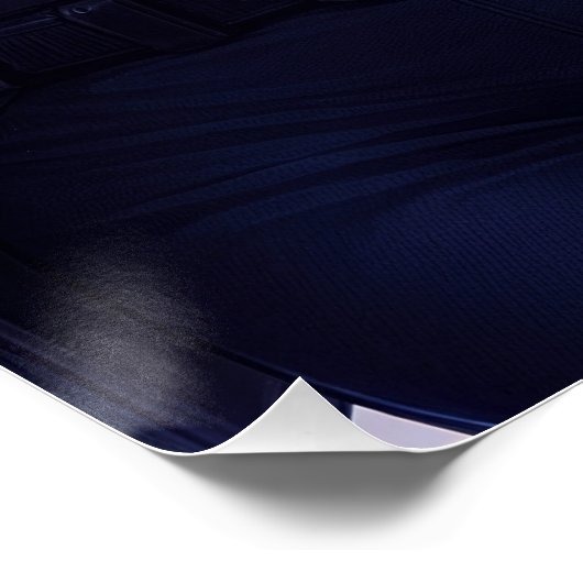 Blondie Bangs Back ポスター (コーナー)