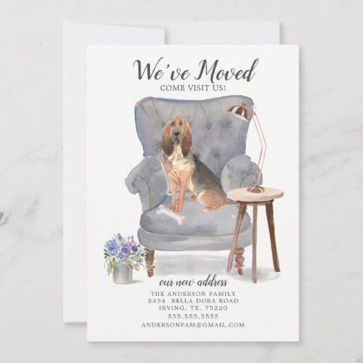 BloodHound犬の引っ越しました移動告知 案内状 (正面)