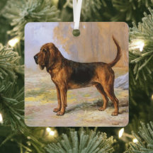 Bloodhound