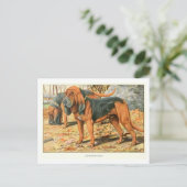 Bloodhound Dogs Postcard ポストカード (スタンド正面)