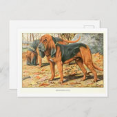 Bloodhound Dogs Postcard ポストカード (正面/裏面)